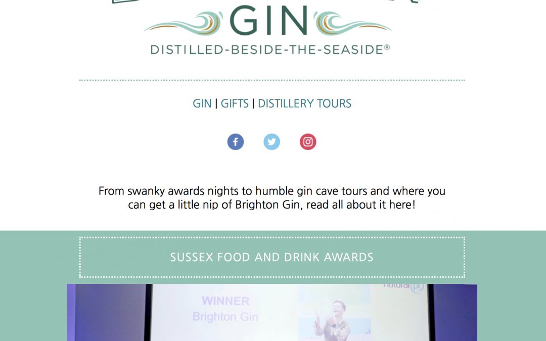 Brighton Gin newsletter design by Shake It Up Creative
