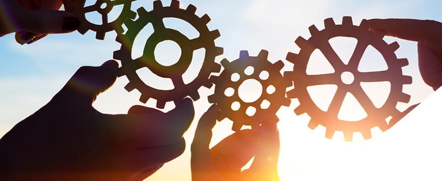 growing a business with a collaborative mindset