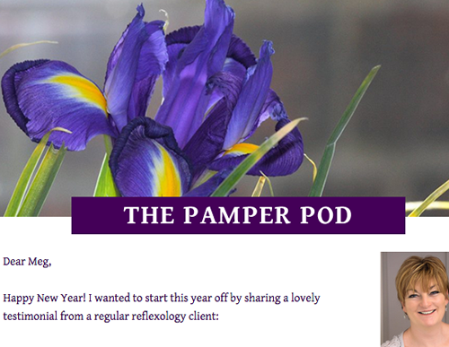 Digital marketing for The Pamper Pod
