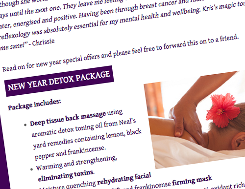 Pudding Fairy flyer design